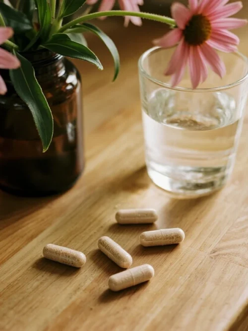 207-2_echinacea-bio-epigemic