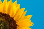Koenzym Q10 BioActive Epigemic®